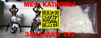 прущие грибы Заводоуковск